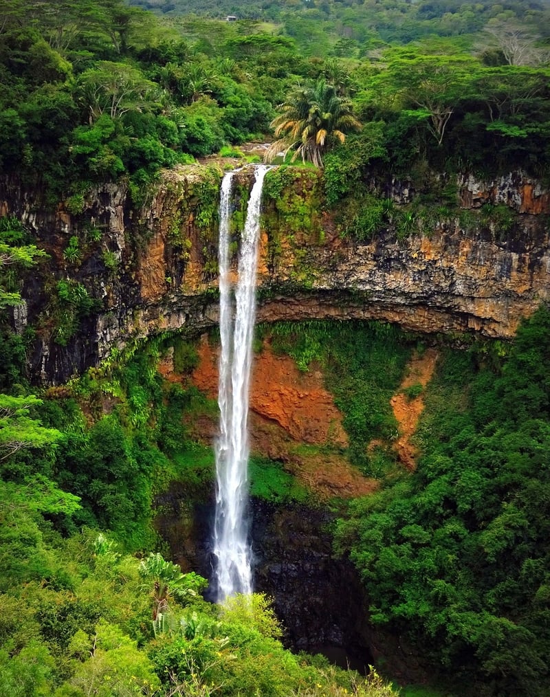 Jungle Hikes
